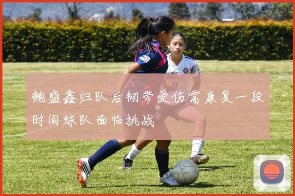 鲍盛鑫归队后韧带受伤需康复一段时间球队面临挑战