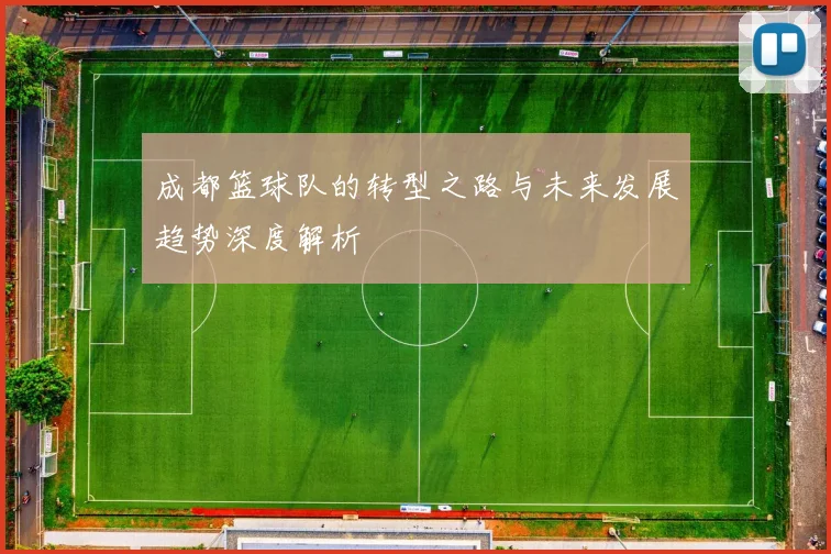 成都篮球队的转型之路与未来发展趋势深度解析